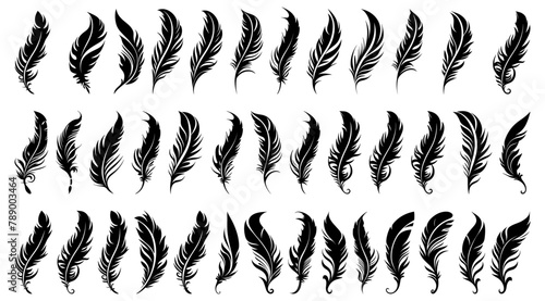 Black fluffy feather. Hand drawing vintage art realistic quill feathers for pen detailed isolated vector elegant silhouette sketch bird plume set photo