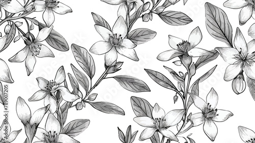Seamless pattern with St. Johns wort medical botanica photo