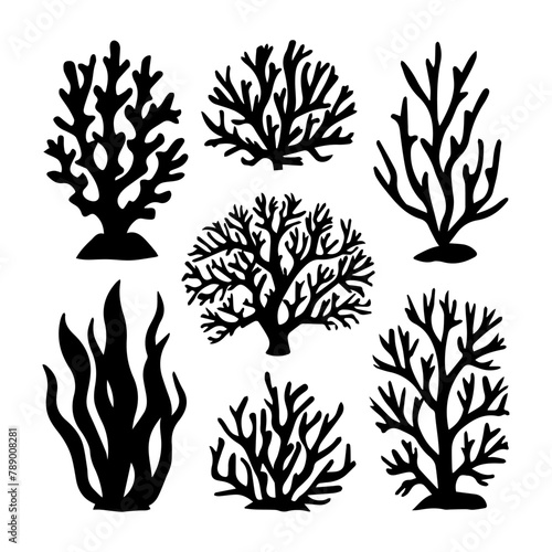 Doodle style seaweed oceanic floral aquarium tropical plant isolated Vector Silhouettes 