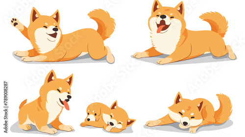 Set of Four cute Akita Inu dogs in various postures.