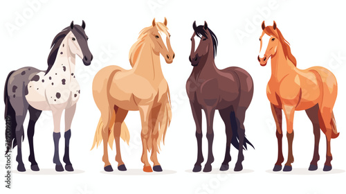 Set of Four horses of various breeds isolated on white background