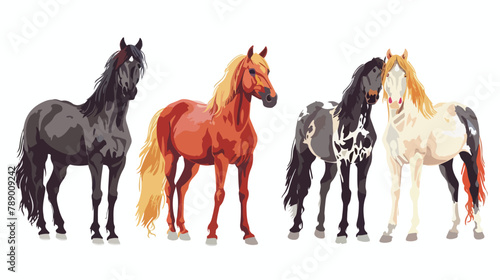 Set of Four horses of various breeds isolated on white background