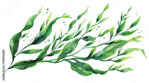 Spirulina alga. Leaves of edible seaweed. Realistic 