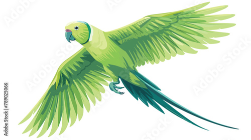 Ringnecked parrot flying. Tropical Indian ringneck white photo