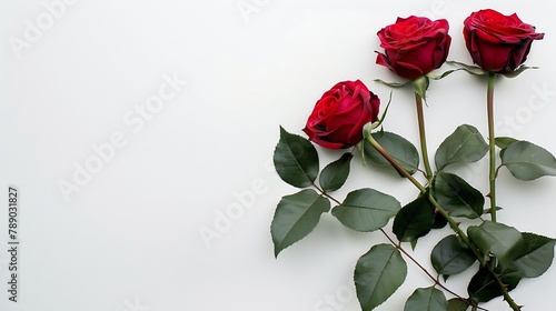 Flowers creative composition Bouquet of red roses rose plant with leaves isolated on white background Flat lay top view copy space : Generative AI