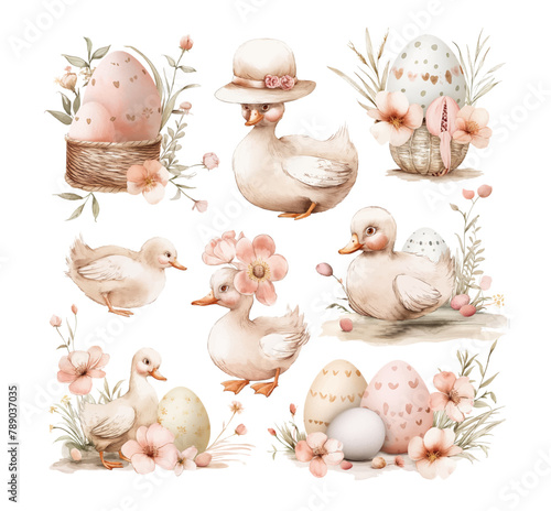 Easter set with cute ducklings, flowers and Easter eggs. Vector watercolor illustration of gentle Easter bunnies