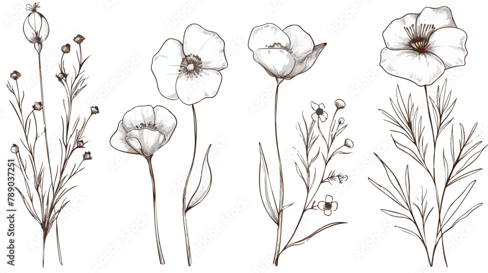 Set of Four gorgeous floristic flowers and wild flowe - obrazy, fototapety, plakaty 