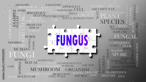 Fungus as a complex subject, related to important topics. Pictured as a puzzle and a word cloud made of most important ideas and phrases related to fungus. ,3d illustration