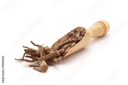 Front view of a wooden scoop filled with Organic Wild Castor or Dantimool (Baliospermum Montanum) herb. Isolated on a white background. photo