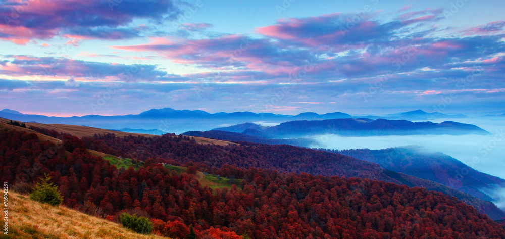 stunning autumn foggy  landscape, unbelievable morning in the mountains - obrazy, fototapety, plakaty 