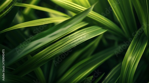 Green tropical plant closeup Abstract natural floral background Selective focus macro Flowing lines of leaves : Generative AI © Generative AI