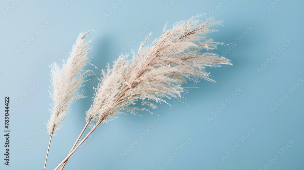 pampas grass branch on blue background natural background minimal stylish concept new trendy home decor selective focus : Generative AI pampas grass branch on blue background natural background minimal stylish concept new trendy home decor selective focus : Generative AI