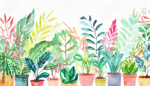 観葉植物 水彩画イラスト,Ornamental foliage plant photo