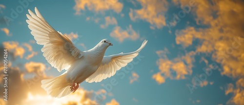 Illustration of white bird spreading wings and flying in the sky on beautiful background It represents the freedom that everyone desires, their hopes, dreams, and the spirit that yearns for freedom. © Chanawat