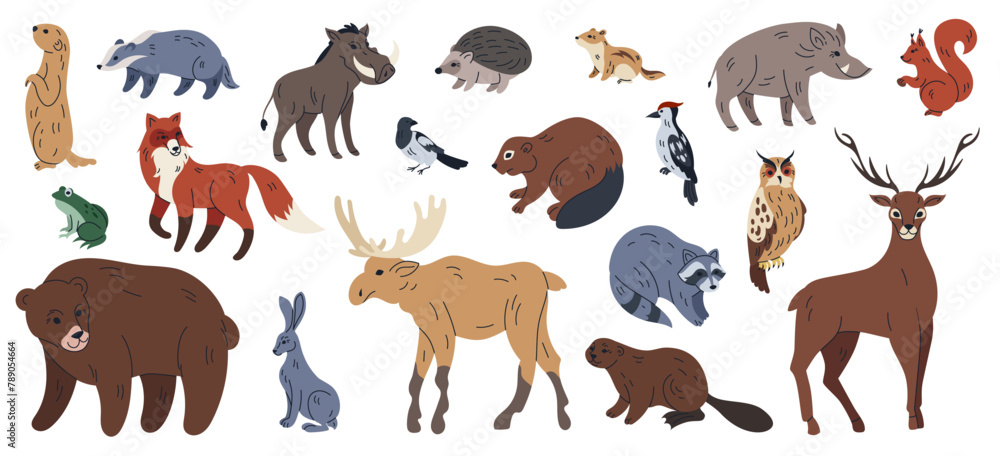 Fototapeta premium Forest animals. Wild mammals. Badger and fox. European brown bear. Woodland chipmunk and squirrel. Hare in wildlife wood. Warthog boar. Owl bird. Tiger and deer. Vector cartoon tidy illustration set