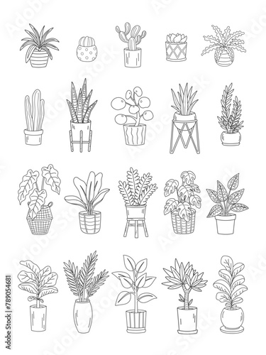 Houseplants in potted set. Green leaves decor. House interior decoration. Objects coloring page. Outline flat vector graphic illustration