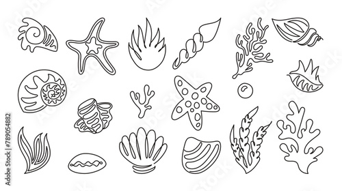 Line shell sea. Art outline. Beach starfish  seashell  animal star  pearl. Summer continuous sand. Symbol ocean  icon contour doodle style clam and mollusk  decorative objects. Vector tidy doodle
