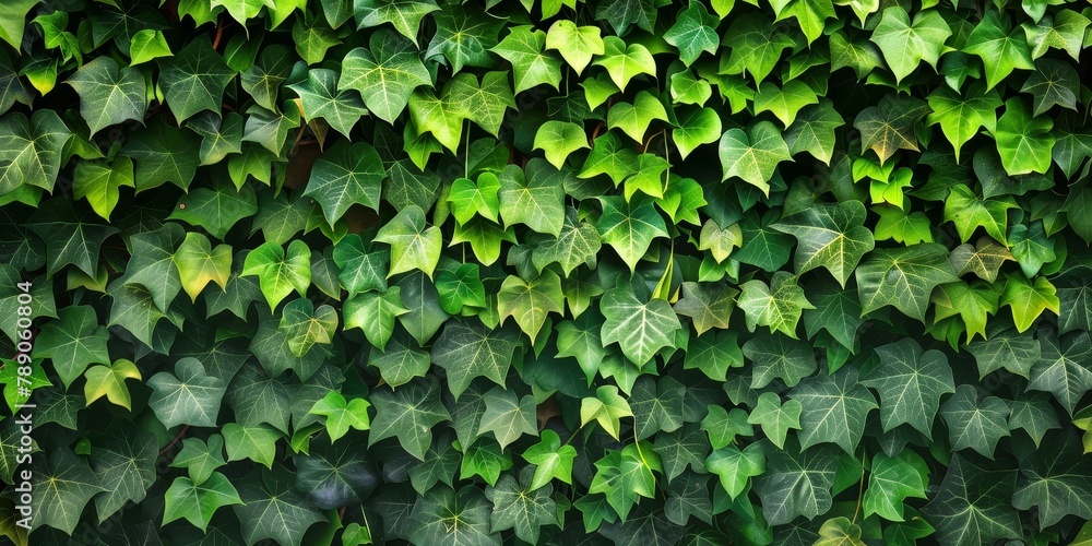 background wallpaper photography background wallpaper photography