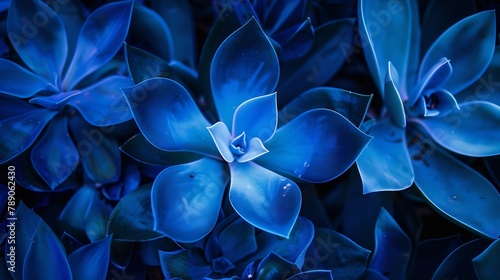 Nature bold blue background Raw beauty surface suculent leaves plant detail Unique delicate texture for wallpaper Abstract vibrant organic simplicity lines pattern Pure intense mood so : Generative AI photo
