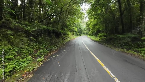 This is a road in the middle of the forest on the slopes of Mount Rinjani - Lombok Indonesia.