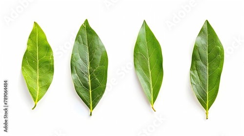 ground Laurel leaves isolated on white background Green bay leaf Top view Flat lay : Generative AI photo