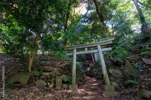 The quaint torii gate and pond of Jiro Inari Shrine.At Koishikawa botanical garden, Bunkyo-ku, Tokyo, Japan, photo by April, 2024. 