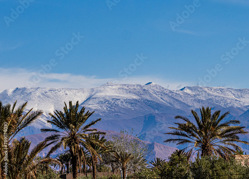 High Atlas Mountains seen from Skoura photo