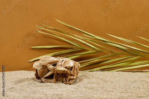 Summer sand with abstract stone podium and palm leaf 