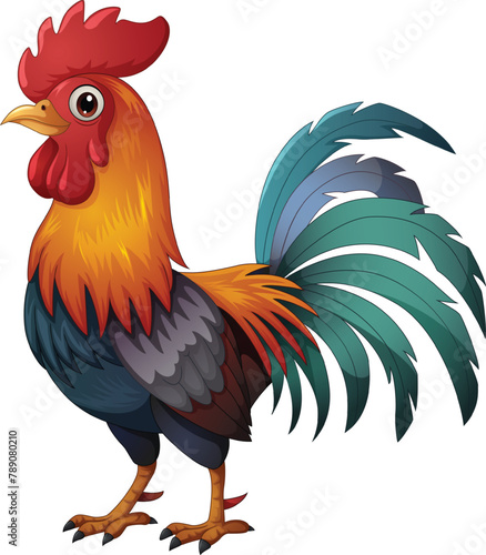 Cute rooster cartoon posing on white background
