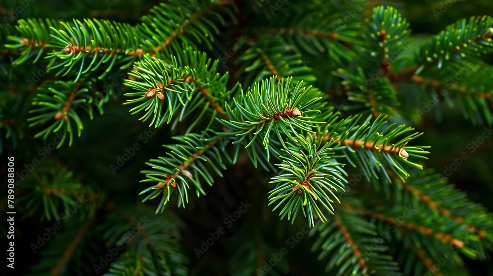 green branches of a pine tree closeup short needles of a coniferous tree closeup on a green background texture of needles of a Christmas tree closeup : Generative AI