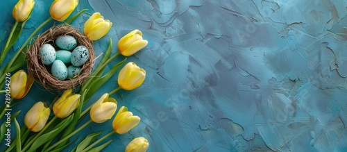 Top-down view of a spring-themed background featuring a bird's nest filled with blue and white eggs, surrounded by yellow tulips with empty space for text. #789094226