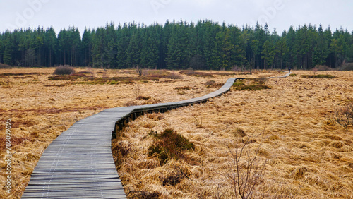 Wanderer auf einem Holzsteg durch den Naturpark Hohes Venn photo