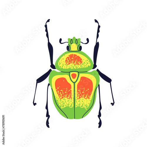Colorful bug. Bright spotted beetle, fantasy animal species, top view. Imagin...