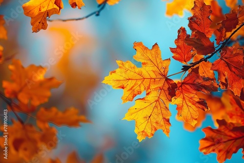 autumn leaves, very shallow focus. generative ai.