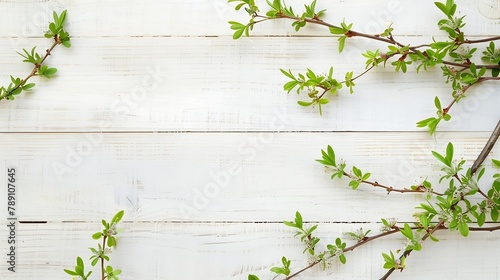 Spring plant over wood background Decorative plant branch top view on white wooden background with free space Rustic background with flat lay green plant : Generative AI