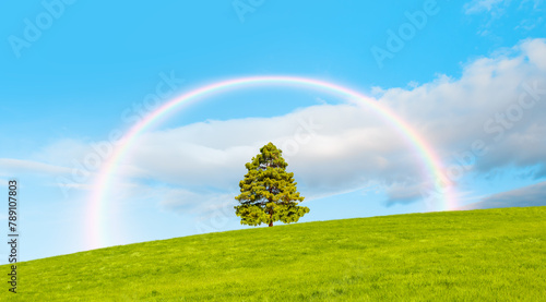 Beautiful landscape with green grass field and lone pine tree amazing rainbow in the background 