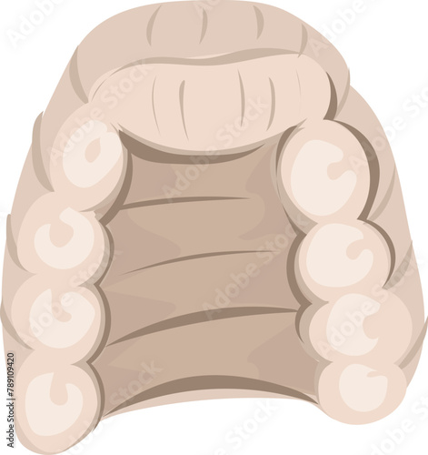 Judge law hairstyle on a transparent background.
