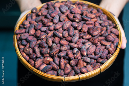 Woman's hands sorting cocoa beans in a wooden basket