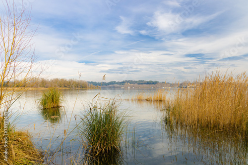 Paisaje sereno del Lago de Banyoles en invierno, con cañas y plantas acuáticas en primer plano y colinas al fondo bajo un cielo azul con nubes tenues.