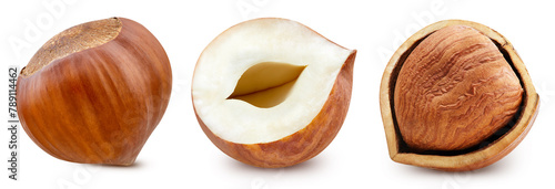 Collection hazelnut. Hazelnut nut with clipping path. Hazelnut isolated on a white background