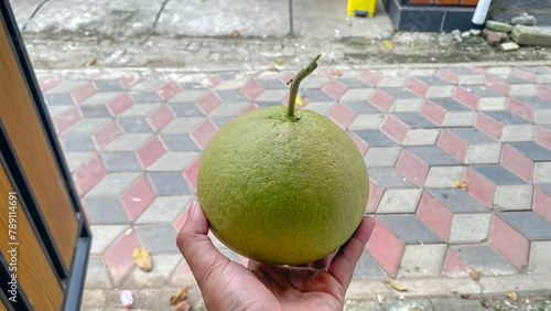 Jeruk bali, large orange, or pomelo or C. maxima is a citrus plant that produces the largest fruit