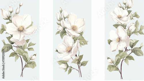 Set of floral seamless border with white magnolia flowers. Vector illustration. © Ula