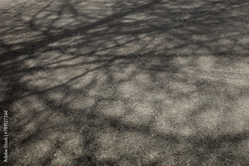 Shadow on the ground of leafless tree branches in spring.