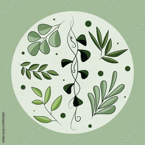 Set of summer leaves in a round frame, with a green background