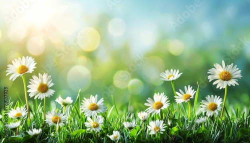 Defocused spring meadow with blur background of blue sky and green grass gradient