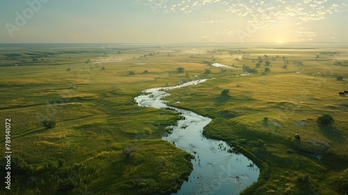Aerial view of the Great Plains, sprawling grasslands and roaming bison