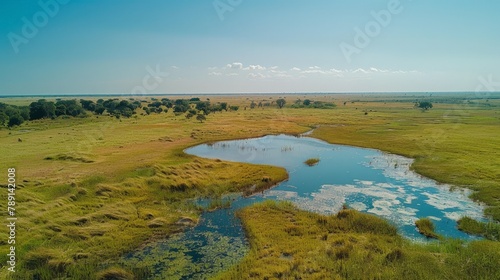 Aerial view of the Pantanal during dry season, expansive grasslands and scattered water pools