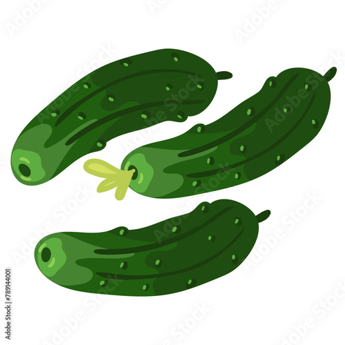 Fresh small cucumbers are isolated, suitable for the image of fresh products from the garden. Gherkins. Ideal for cooking graphics, salad recipes, healthy lifestyle blogs. Vector illustration