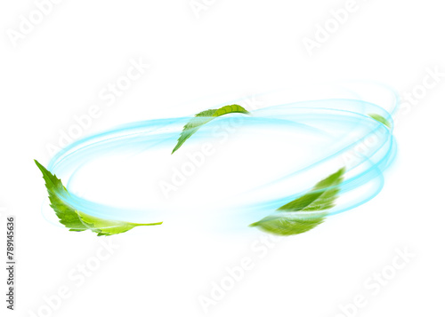 Green Floating Leaves Flying Leaves Green Leaf Dancing on white background