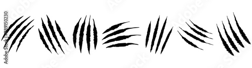 animal Claw scratches mark set. Cat tiger scratches signs. Vector Isolated.